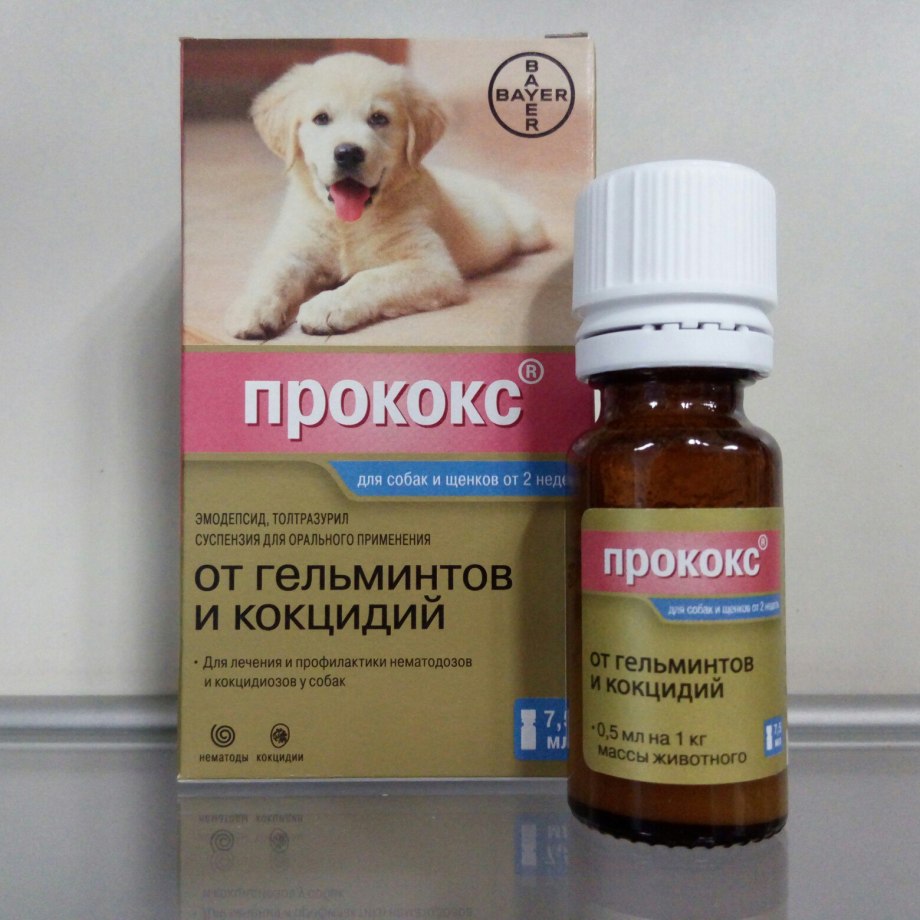Таблетки Дирофен плюс для собак