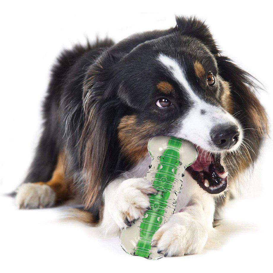 PETSTAGES Crunchcore