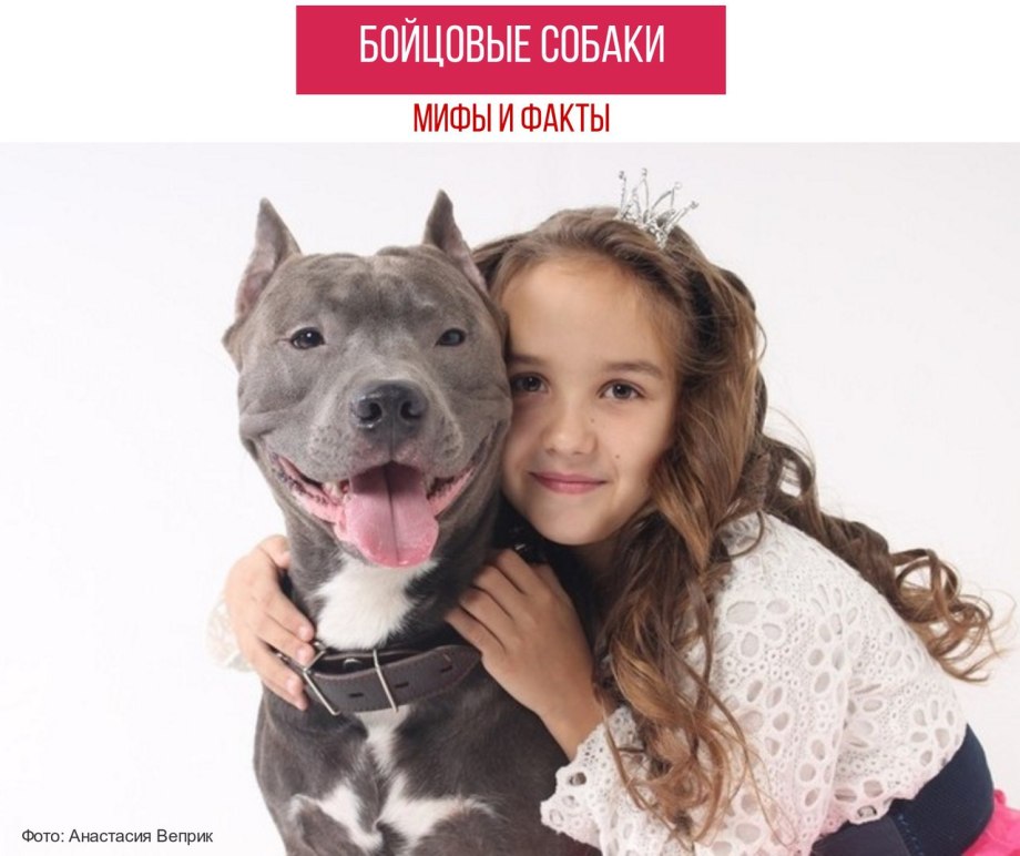 Самый большой пёс в мире Халк