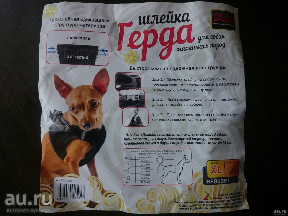 Корм для Джек Рассел терьера щенка
