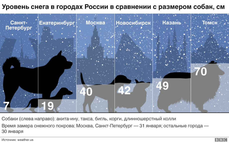 Известные породы собак