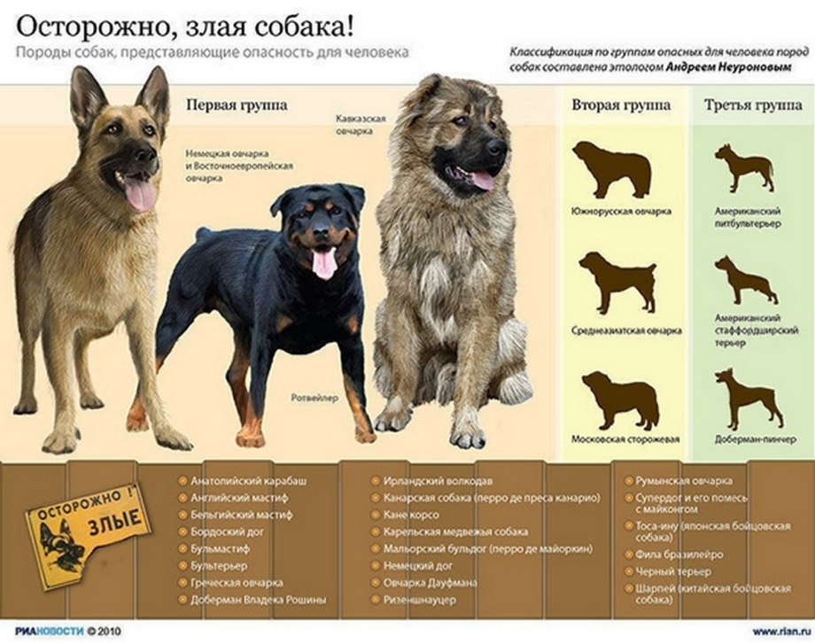 Перечень опасных пород собак