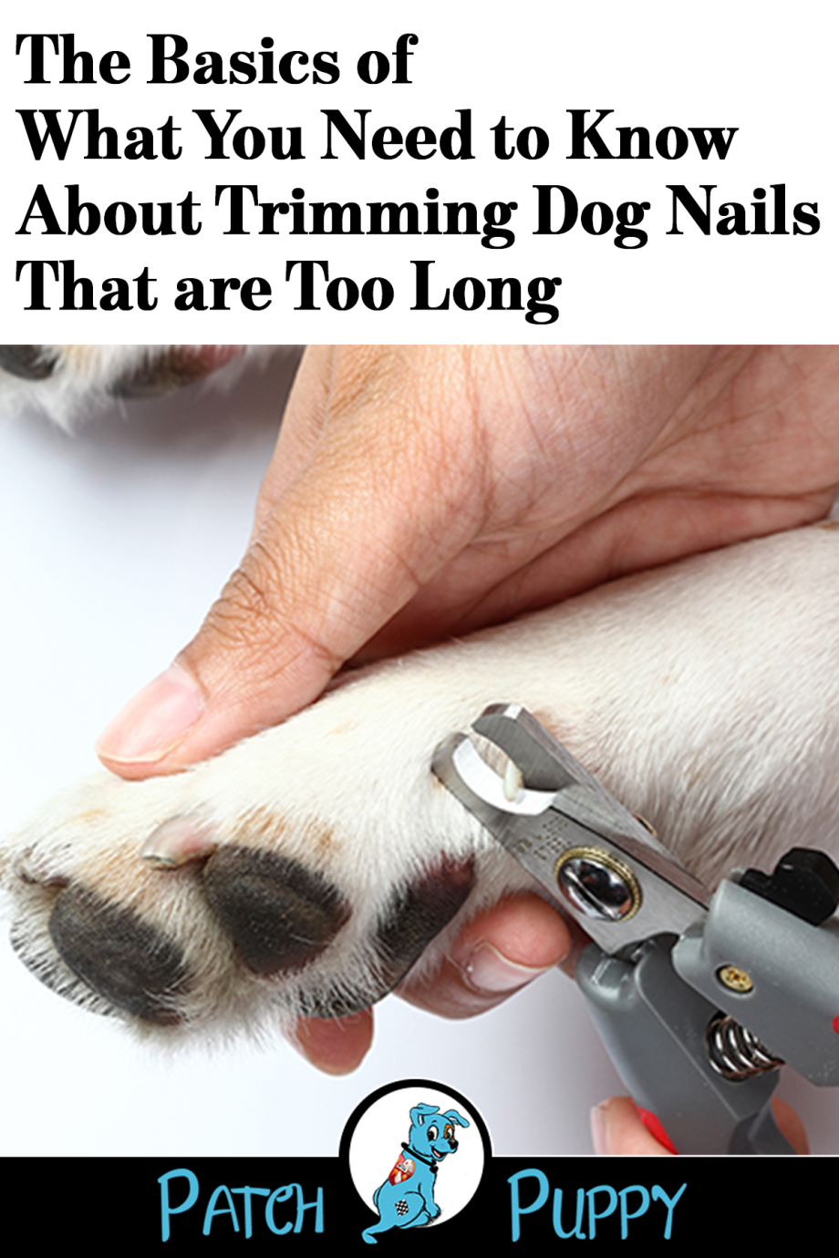 Триммер для когтей домашних животных pawbby Pet Electric Nail Sharpener (MG-ng001a)