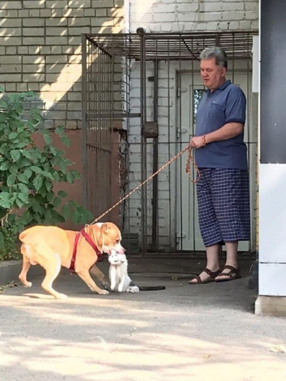 Хозяин с собакой на улице