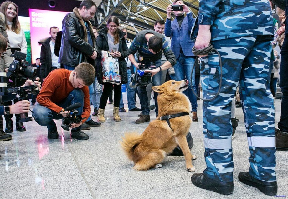 Шалайка Сулимова