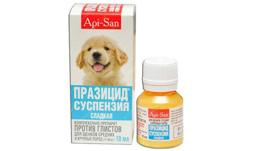 Гельминтозы дирофиляриоз