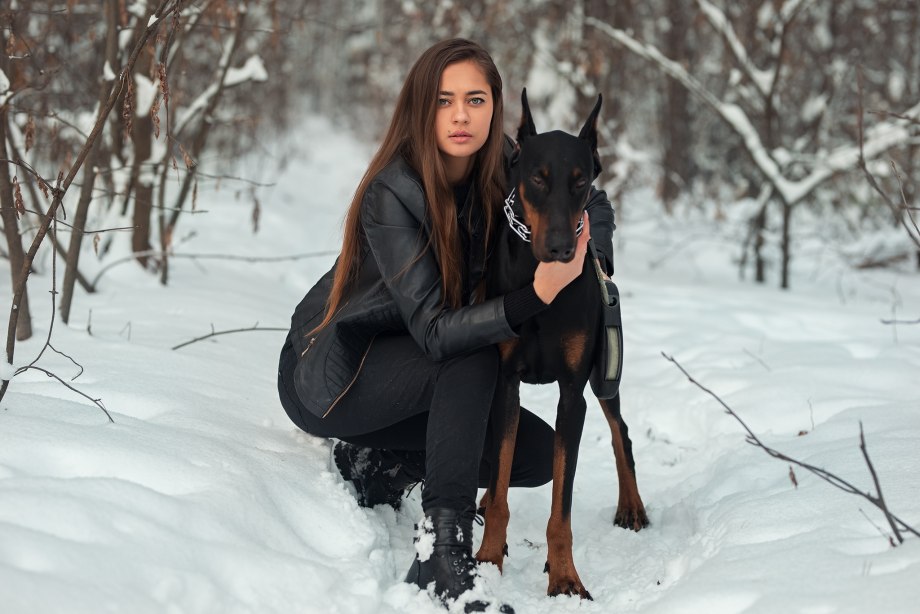 Доберман Дины Саевой