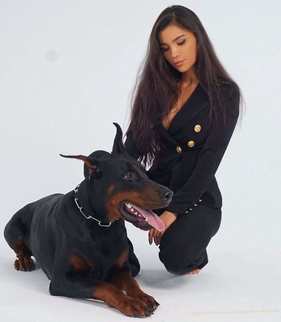 Kendall Jenner Doberman