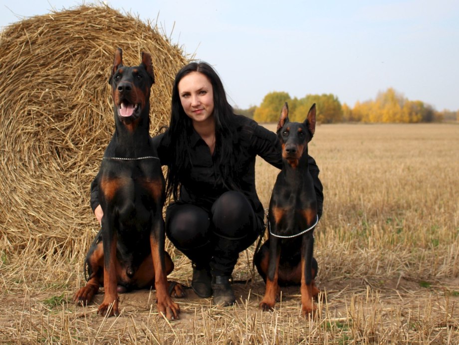 Елена Ананьева Доберманы