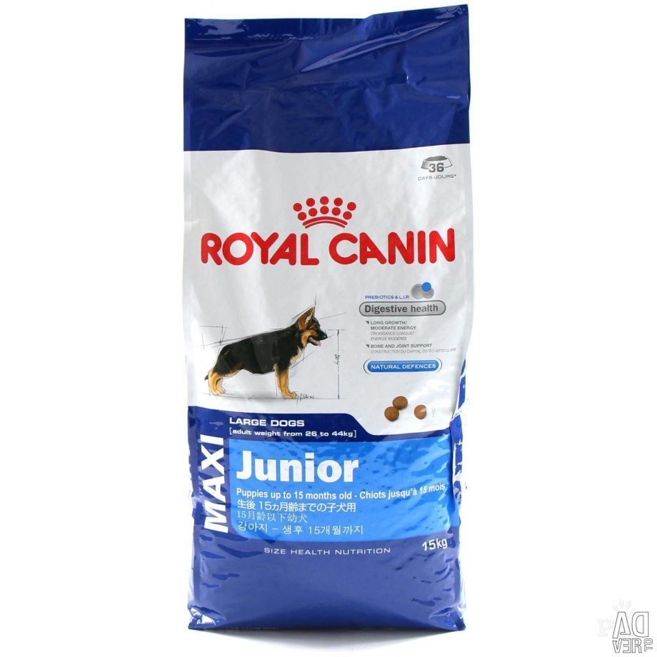 Сухой корм Royal Canin Jack Russell Terrier Adult для взрослых собак 500г 156005