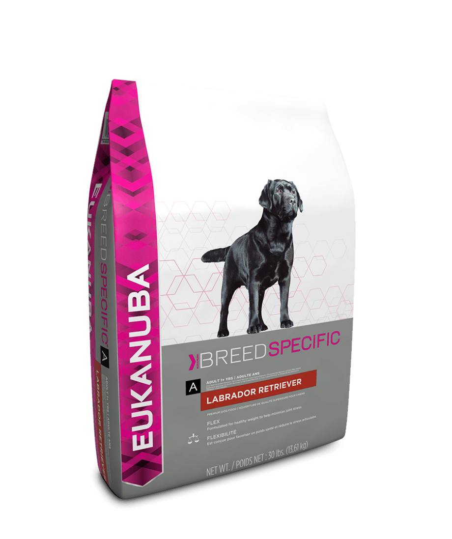 Eukanuba Labrador Retriever