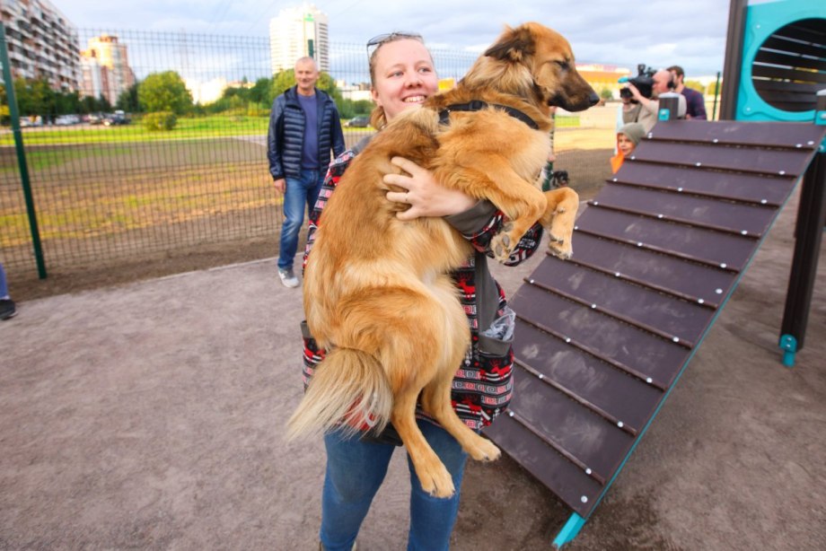 Площадка для выгула и дрессировки собак