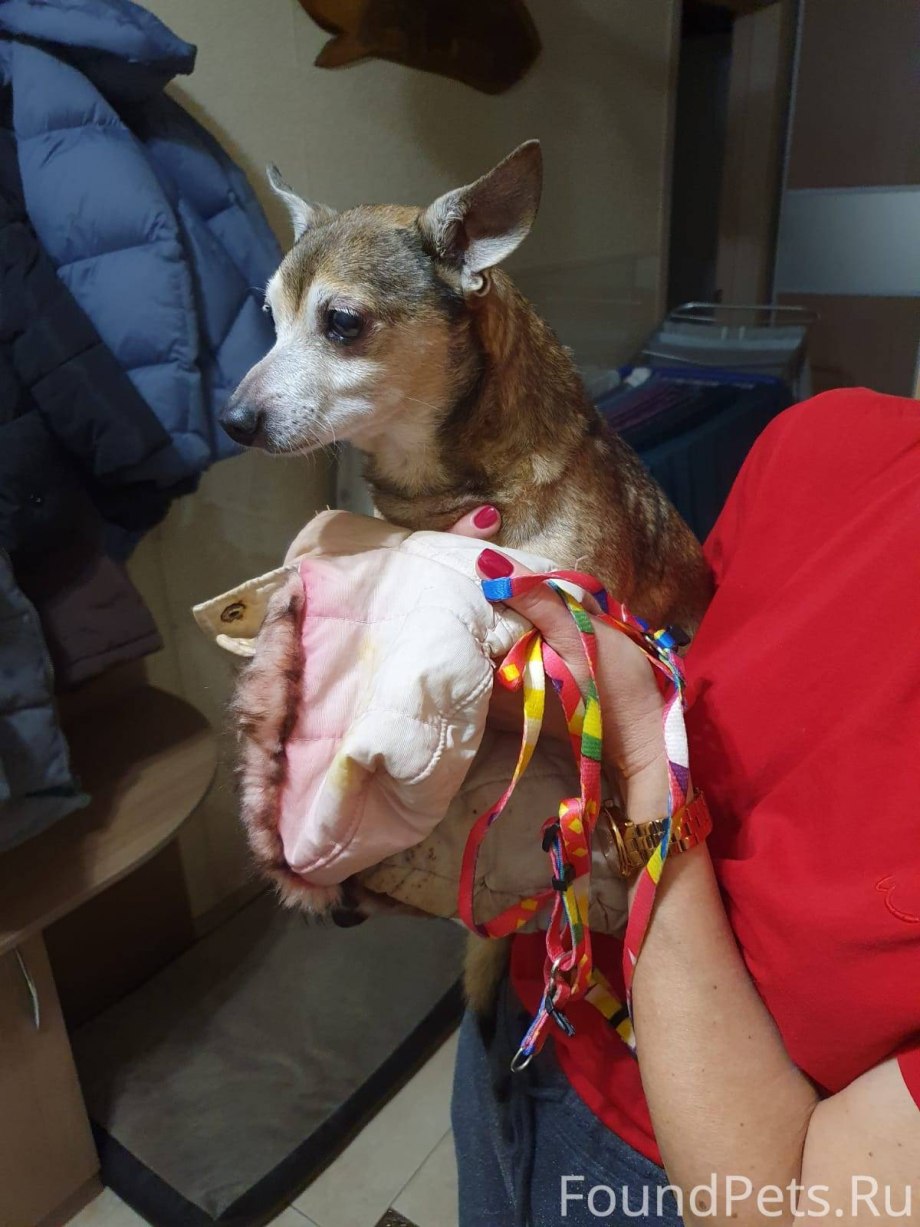 Д̆̈р̆̈ӑ̈к̆̈й̈ с̆̈о̆̈б̆̈ӑ̈к̆̈