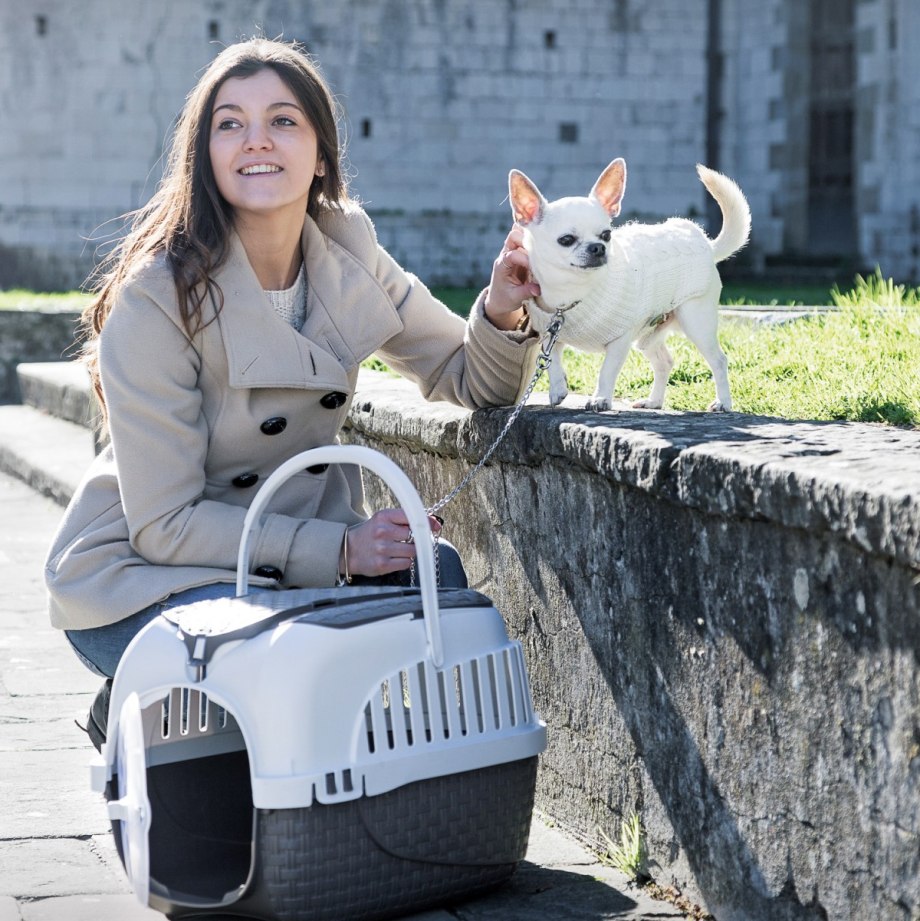 Bama Pet переноска Kennel Tour 52х33х34h см до 7 кг, розовая