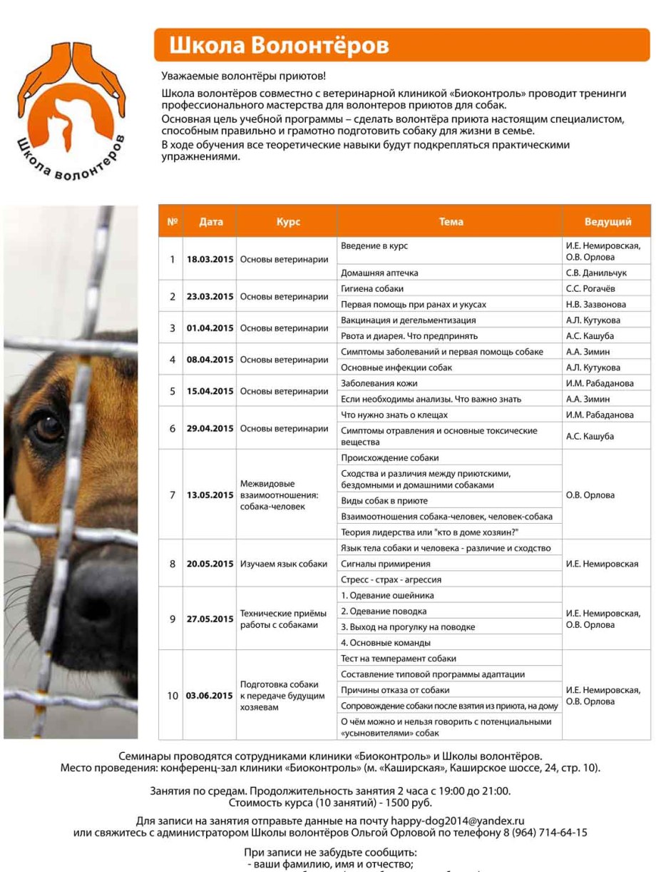 Команды для собак список