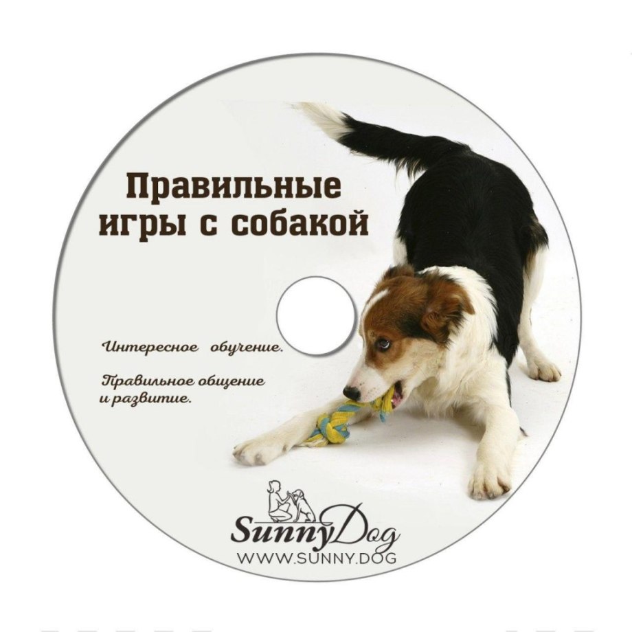 Команды для собак список