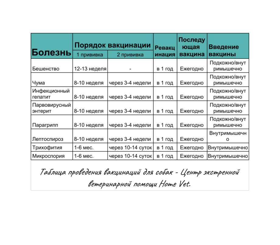 График прививок собакам по возрасту до 1 года