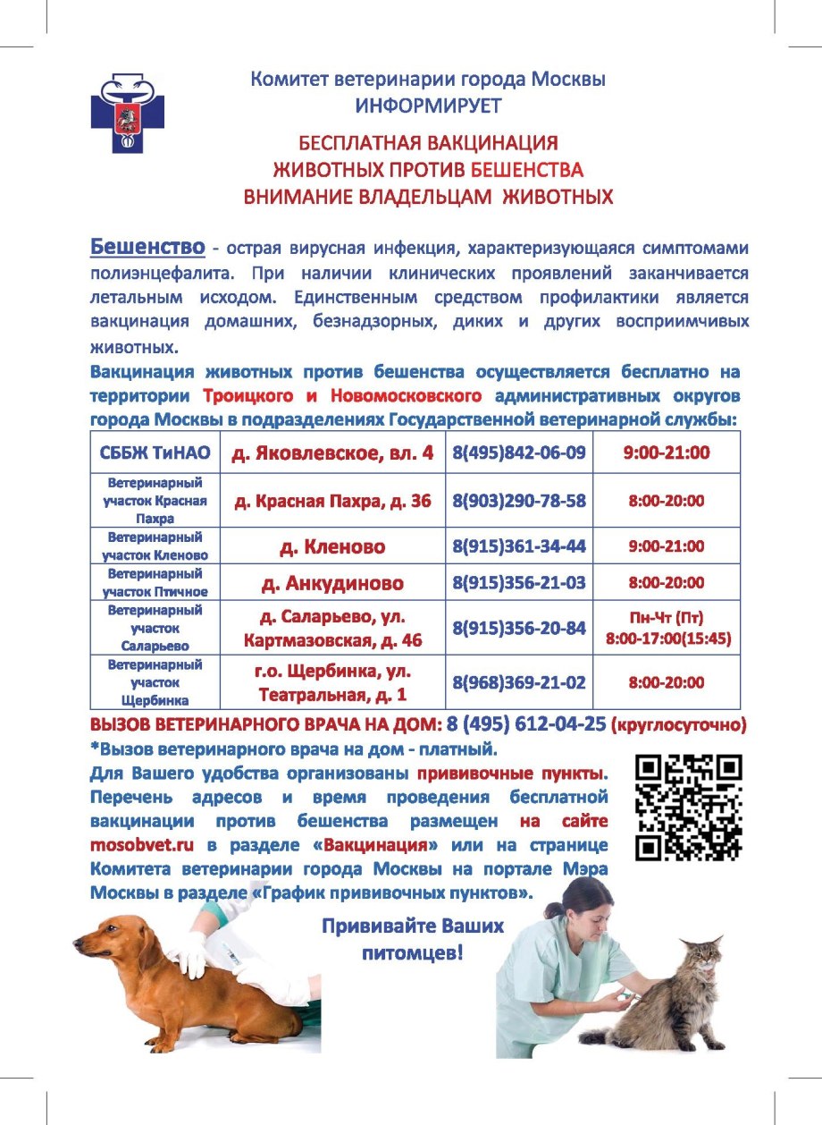 Какие прививки необходимы котенку в 2 месяца