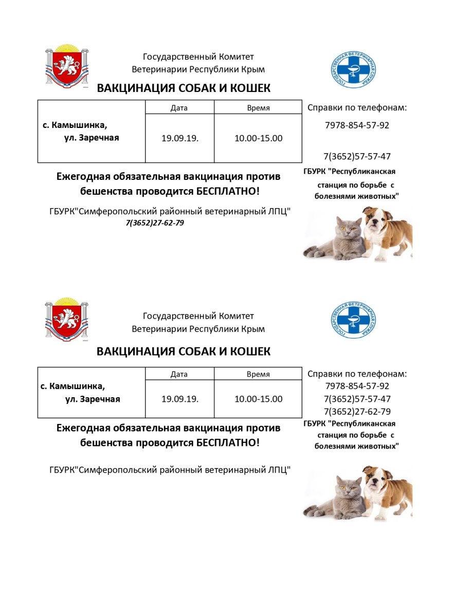 Прививки для щенков питбуля