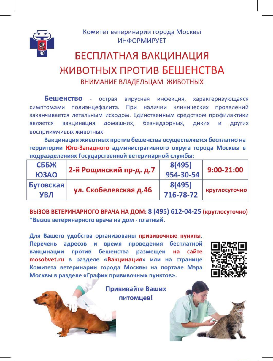 Ветеринарное законодательство о прививках собак