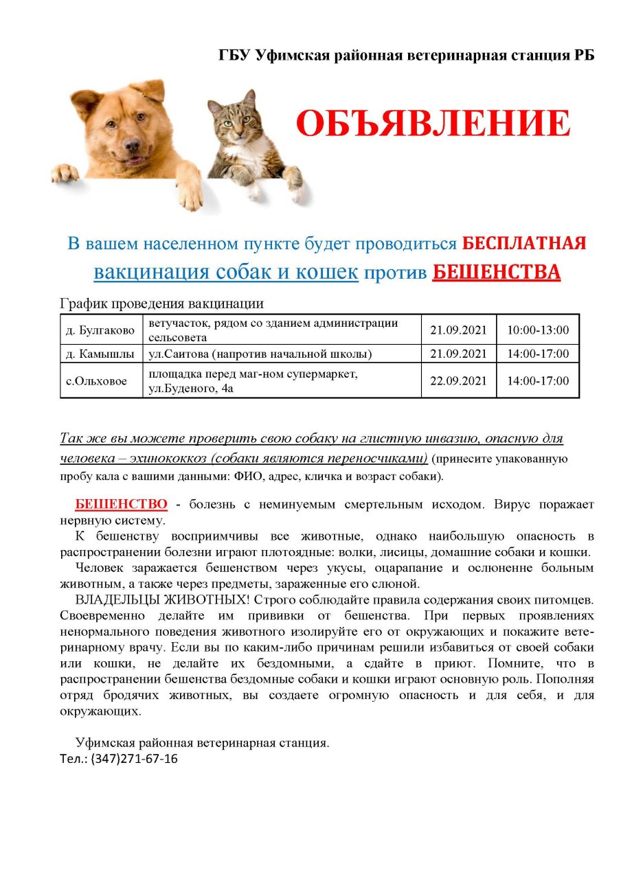 Схема вакцинации щенков эуриканом