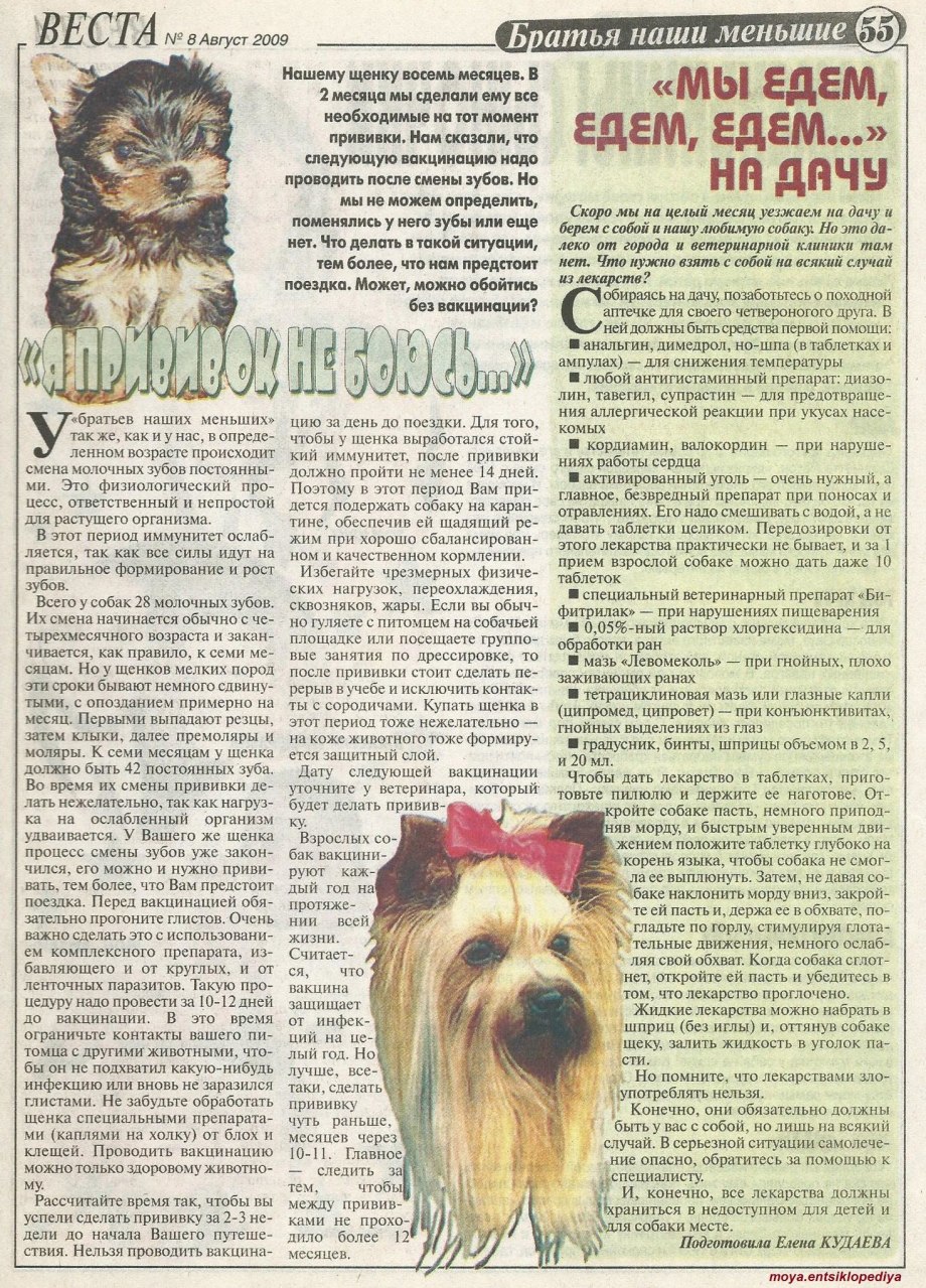Глистогонные препараты для собак Мильбемакс