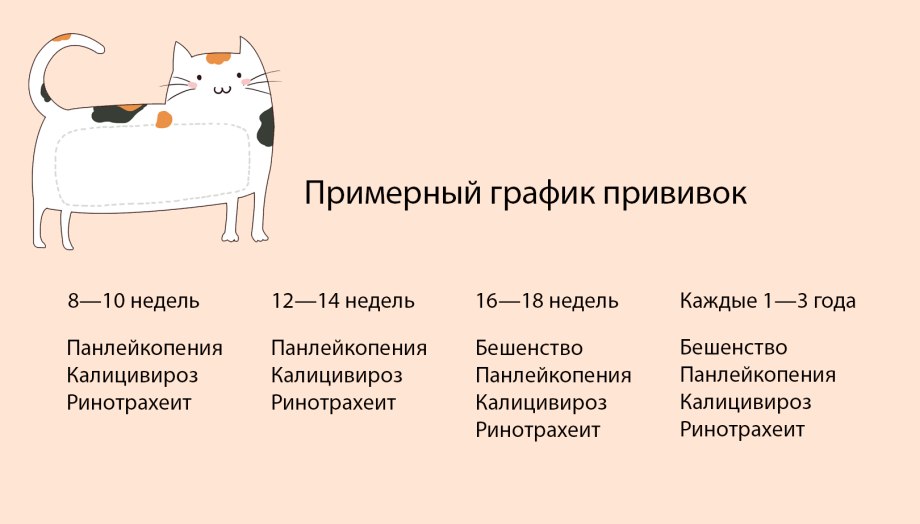 График прививок для щенков