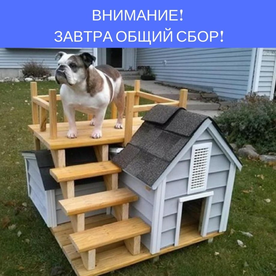 Двухэтажные домики для собак