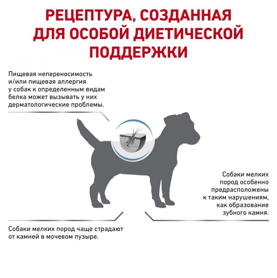 Аллергия у собак на корм Роял