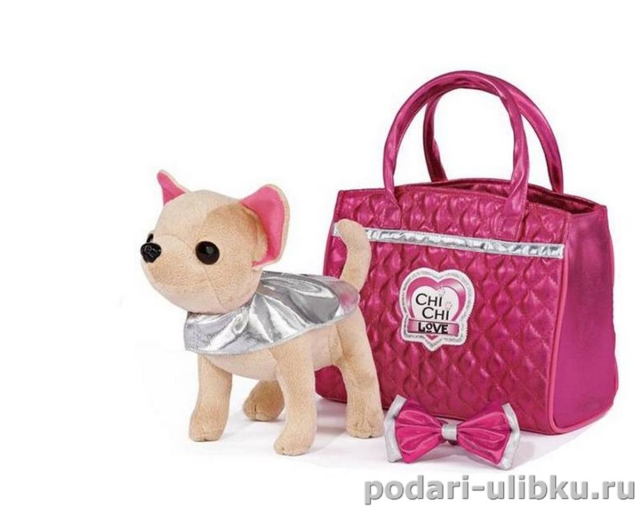 Chi chi Love чихуахуа