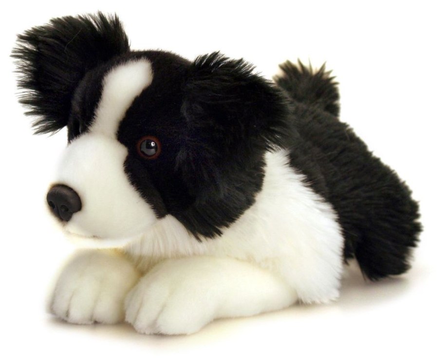 Dog with Toy