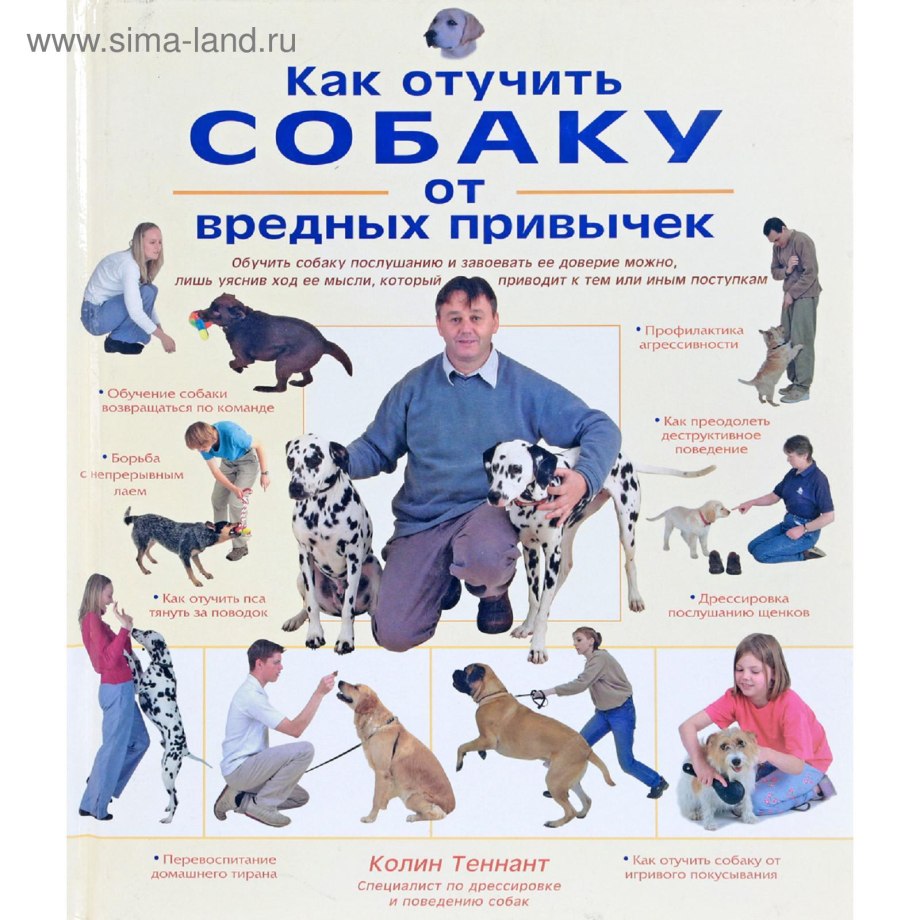 Книга о дрессировке собак для детей