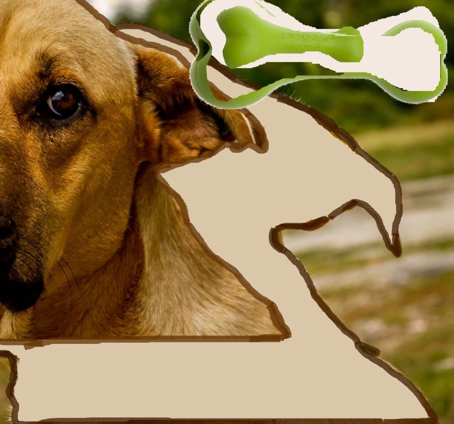 Песик скулит