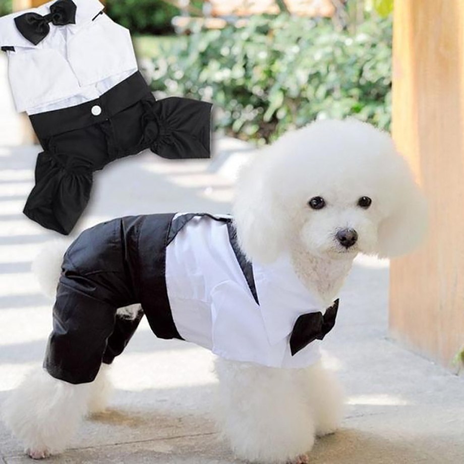 8906 Magic Dog