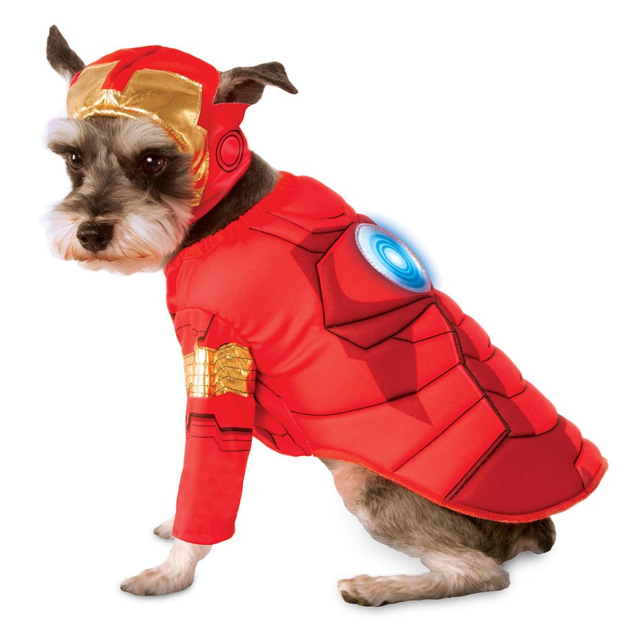 Iron Dog