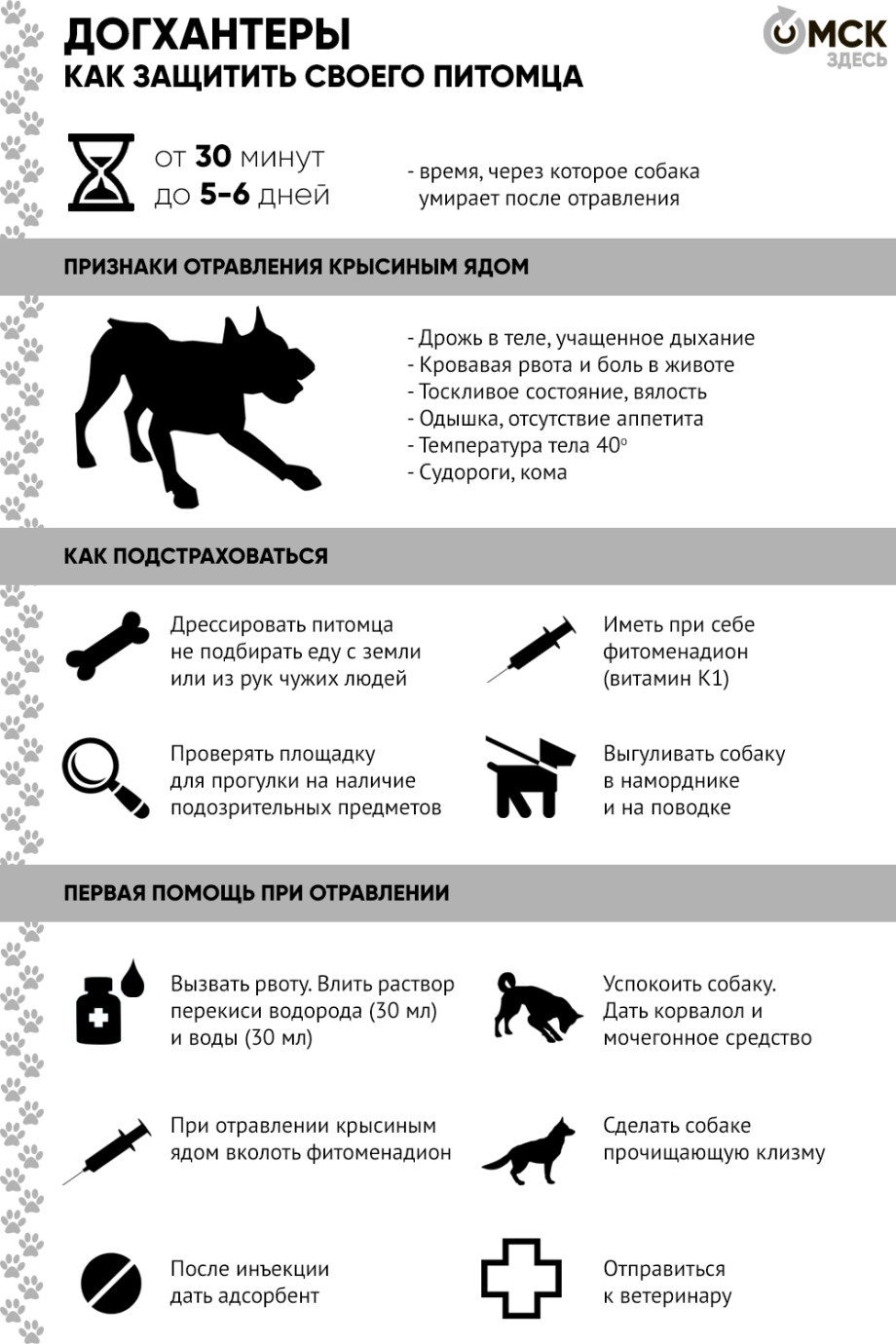 Отравление собаки ртутью