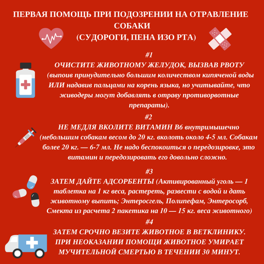 Догхантеры травят собак