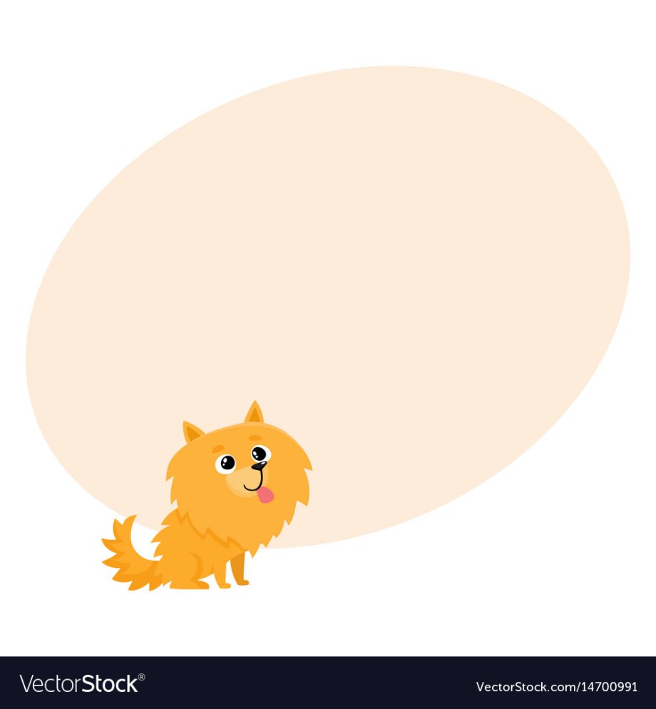 Померанский шпиц