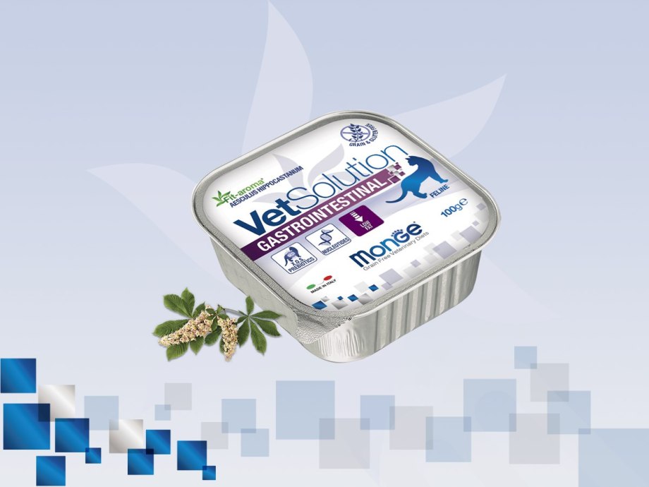 Корм для собак Monge VETSOLUTION 150г