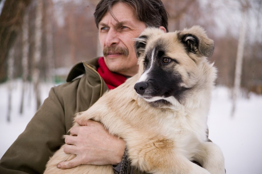Собака и человек