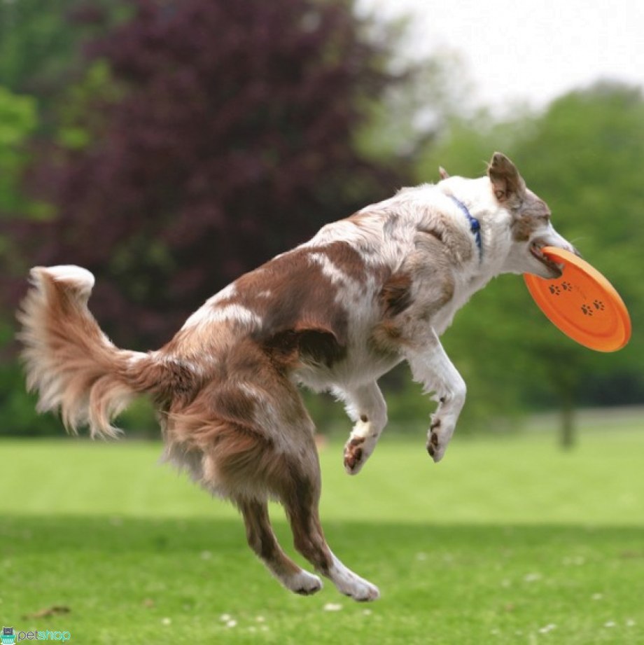 Фрисби для собак Trixie Dog Disc