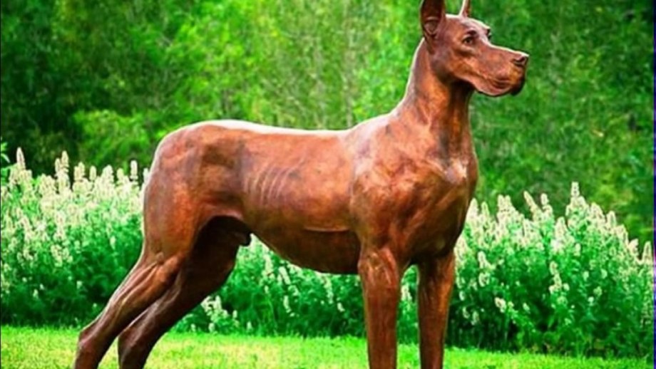 25 Самых опасных пород собак