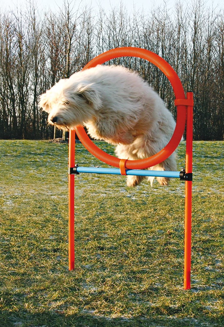 Набор для аджилити Trixie Jump