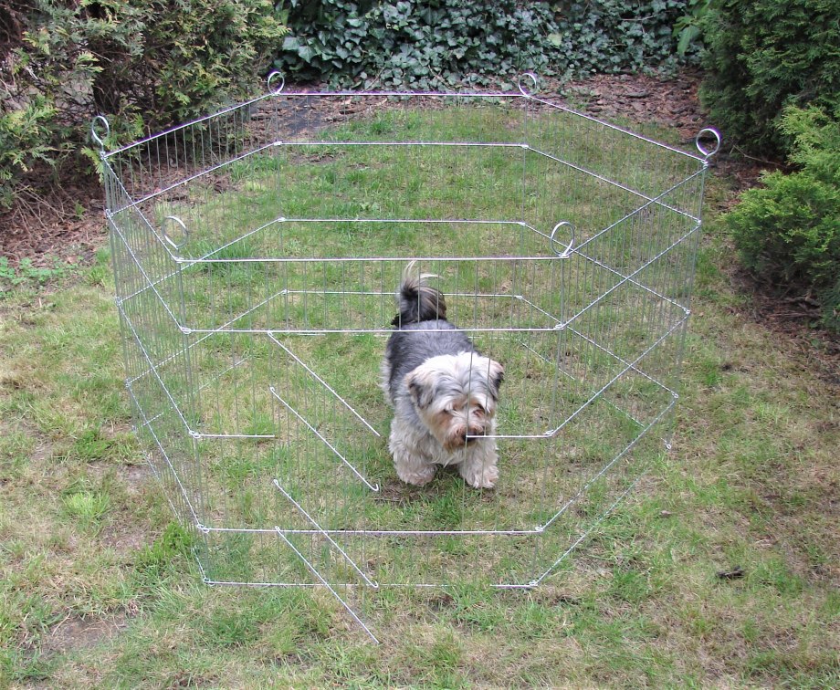 Вольер Ferplast Dog Training 80x80x62см