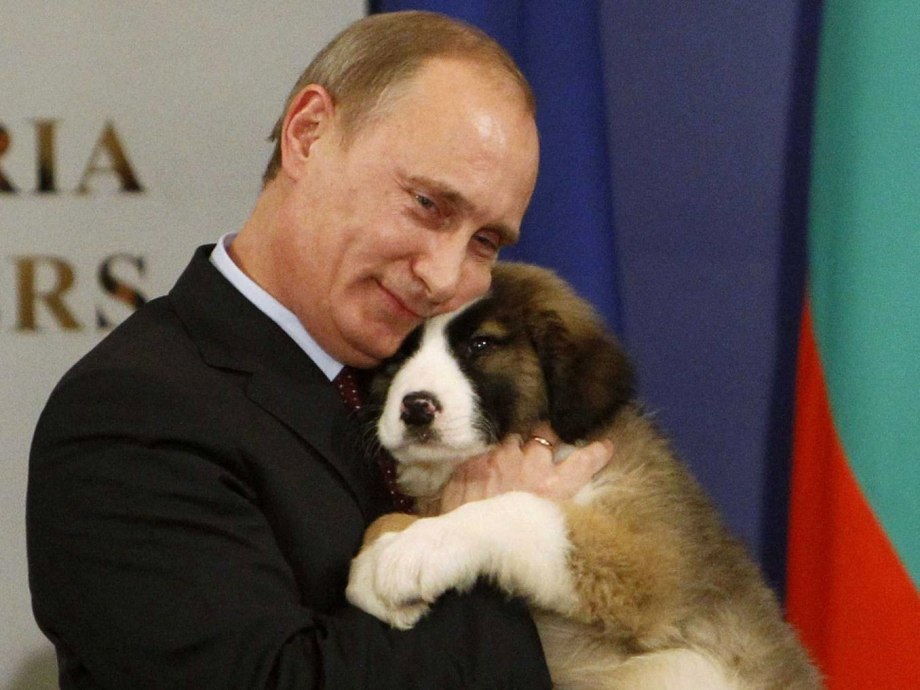 Хорошая собачка хорошая собачка
