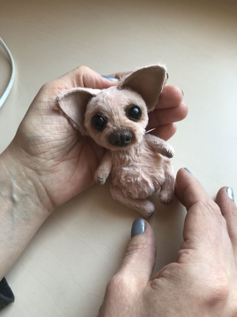 Померанский шпиц белый корейский