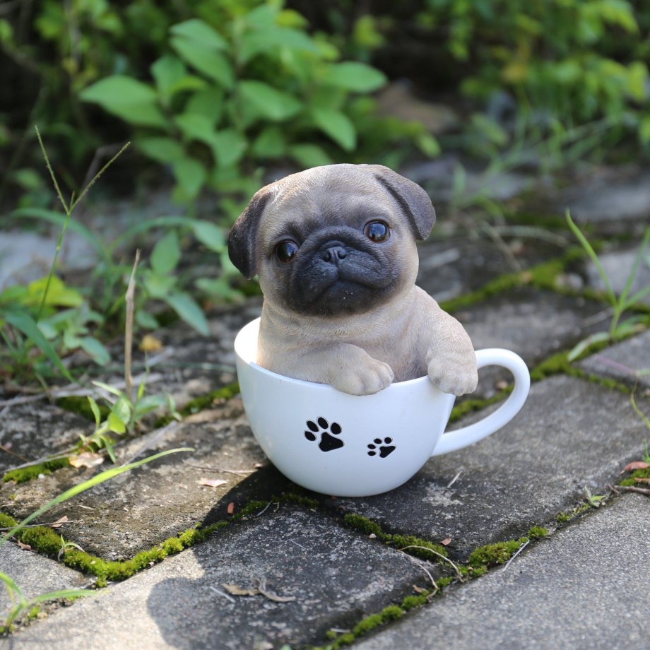 Мопс Teacup