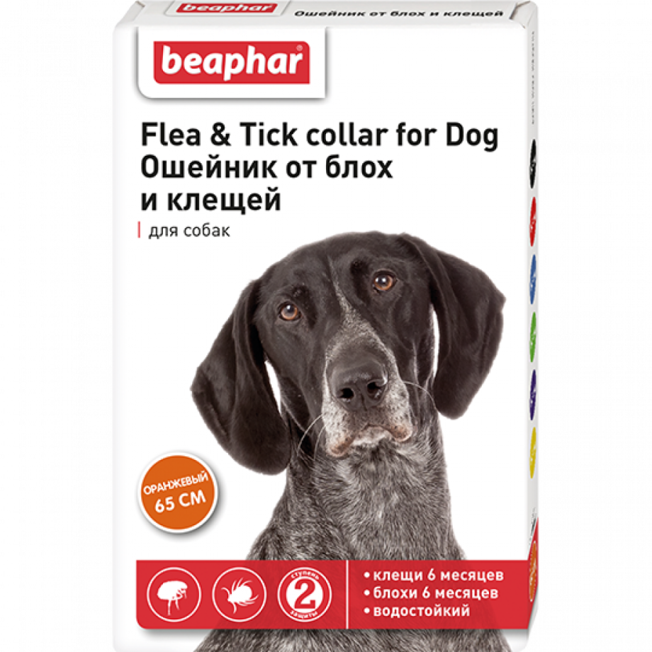 Ошейник для собак "Beaphar Flea & Tick Collar for Dog" от блох и клещей (синий) 65 см