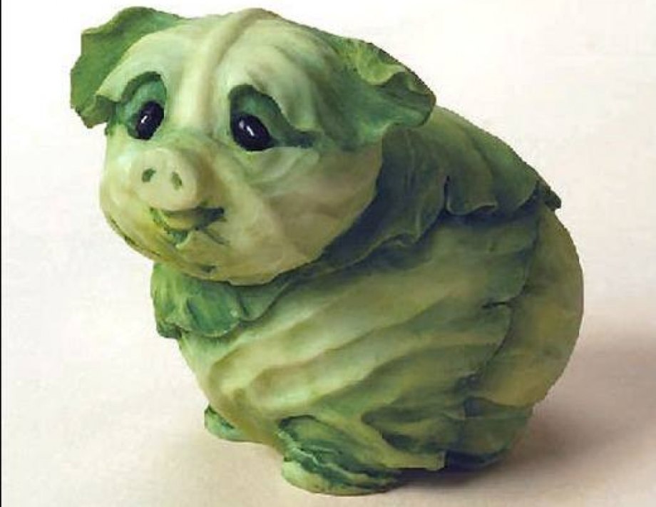 Корги ест капусту