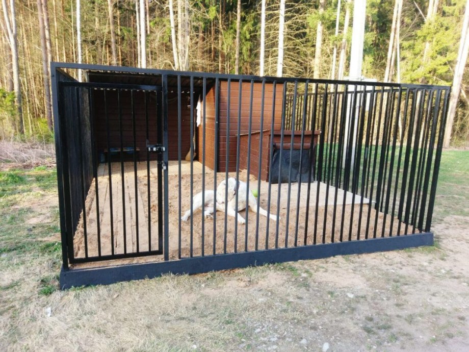 Приют соседи для собак в Красноярске